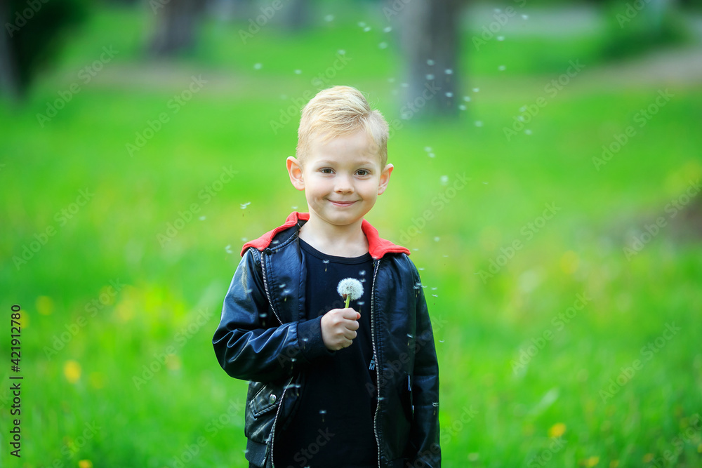 Close-up portrait lovely blonde boy five years old blowing dandelion. blurred background of green grass in summer park. Smiling Child holds white blowball. Outdoors. Enjoy Nature. Allergy free concept Close-up portrait lovely blonde boy five years old blowing dandelion. blurred background of green grass in summer park. Smiling Child holds white blowball. Outdoors. Enjoy Nature. Allergy free concept