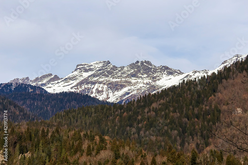 Ritsa Relict National Park. Observation Deck Farewell Homeland. Abkhazia. Aerial view drone. valley of snow-capped mountains, many trees on slopes. Lake photo