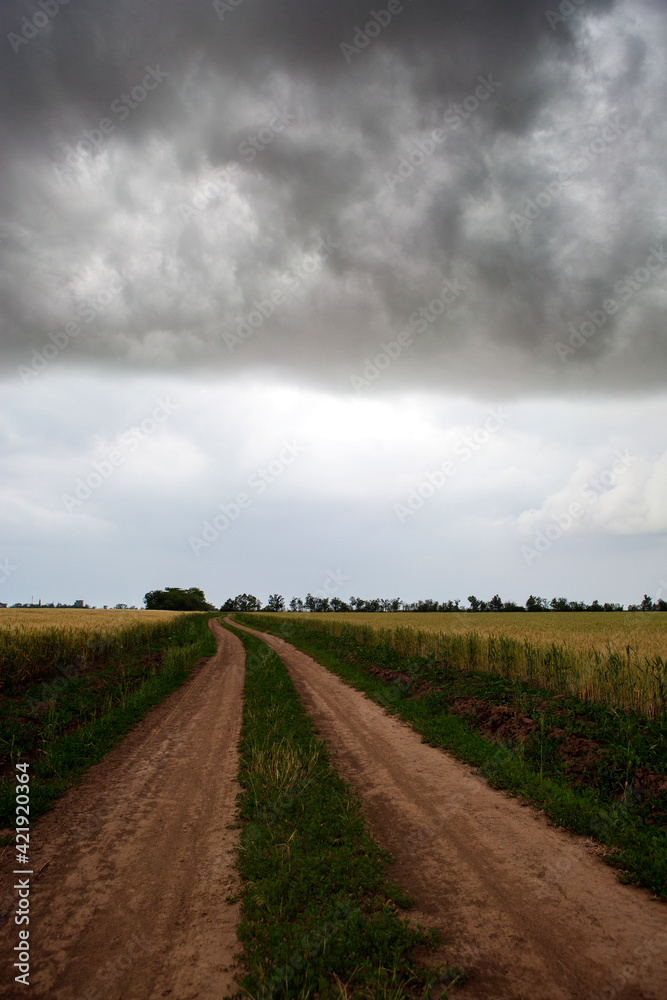 A country road in a summer thunderstorm