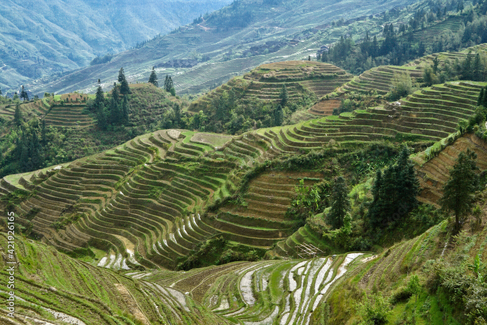 Rice terraces of Longsheng, Guangxi Province, China