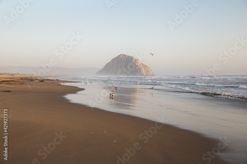 Foggy sunset with birds and rock reflecting on wet sandy beach in Morro Bay, California 