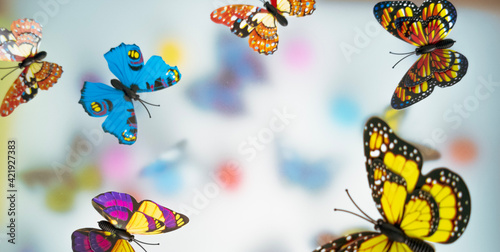 Colorful summer butterflies on a white foggy background, a multi-planned spring card for March 8