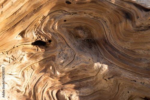 Beautiful bright swirled driftwood texture