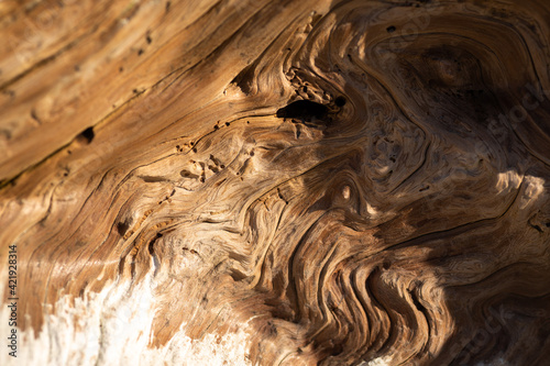 Fotografie Moody golden swirled driftwood texture