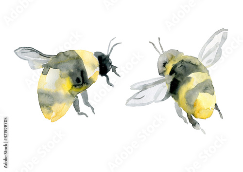 small watercolor realistic bees isolated on white