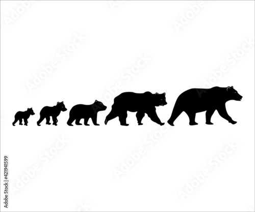 Baby Bear Printable Vector Illustration, Cute baby bear, Baby Bear clipart, Silhouette, Teddy Bear