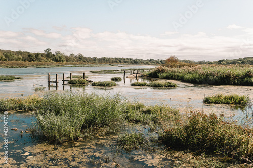 Half-sunken board walk in southern marsh landscape during summer