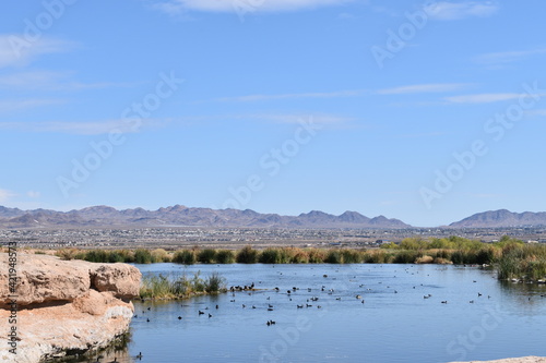 Overview of the Oasis