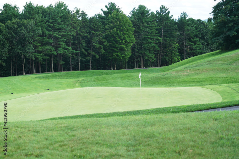 Fototapeta premium green grass meadow and forest in the golf course
