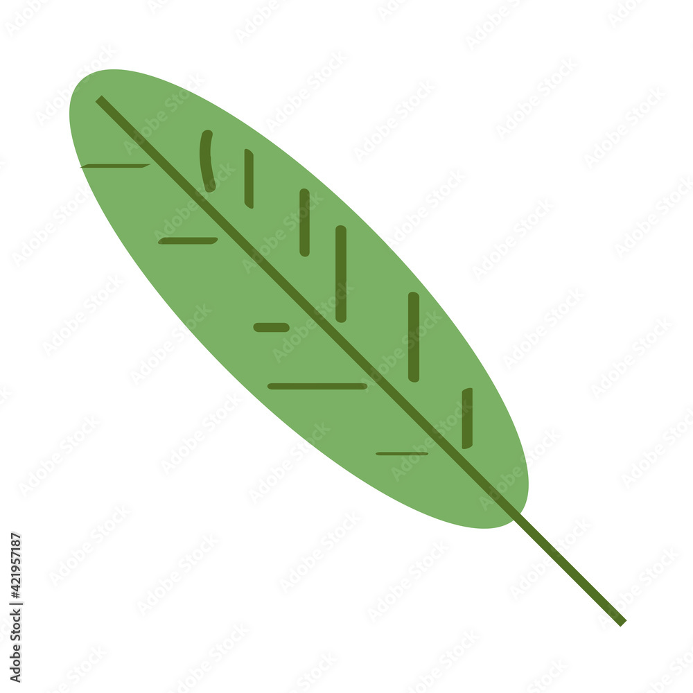 leaf foliage nature leaf foliage nature