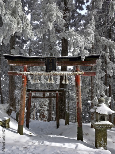 vermilion shinto torii gates and a stone lantern in a winter forest under snow-covered cedar branches