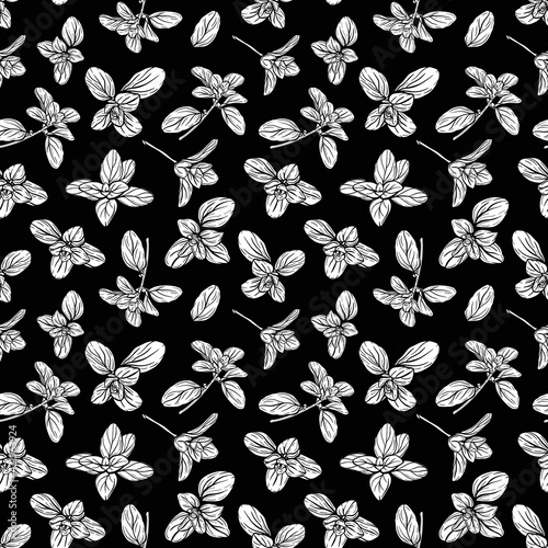  Basil Seamless Pattern. Italian herbs.A sprig of marjoram. Basil is a fragrant and fragrant seasoning. Hand-drawn illustration