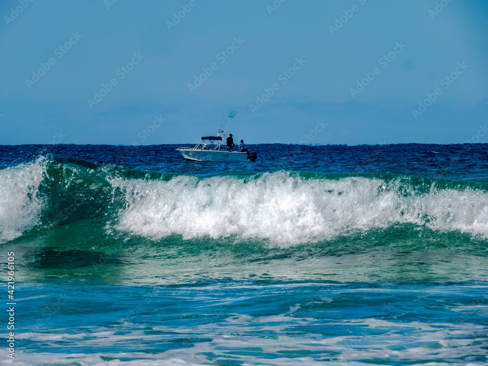 Naklejka premium Fish Past The Surf