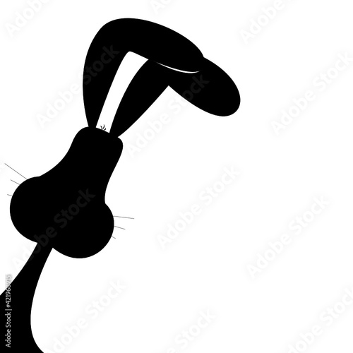 Hase von hinten