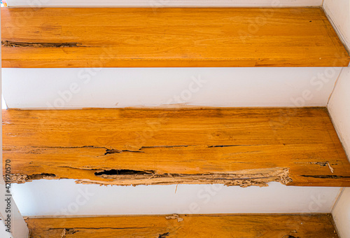 House stairs that were bitten by termites. The wood was broken because it was destroyed by termites.