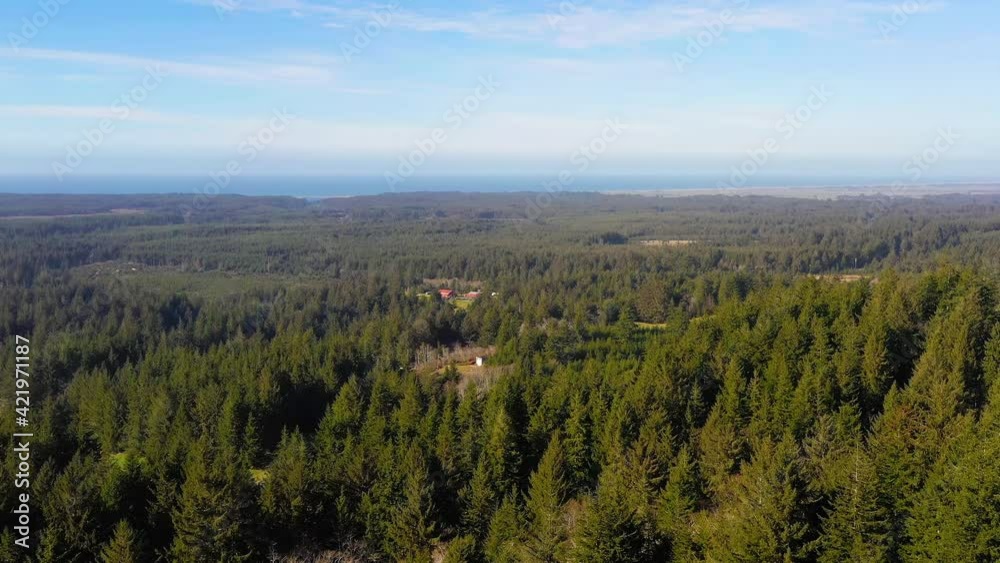 Aerial forward of Port Orford coniferous forest with ocean in background Aerial forward of Port Orford coniferous forest with ocean in background