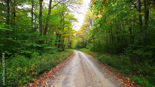 Wallpaper Mural Pov point of view driving in car vehicle on dirt gravel rocky road through maple tree forest in countryside Dolly Sods, West Virginia in autumn with colorful yellow green orange foliage Torontodigital.ca