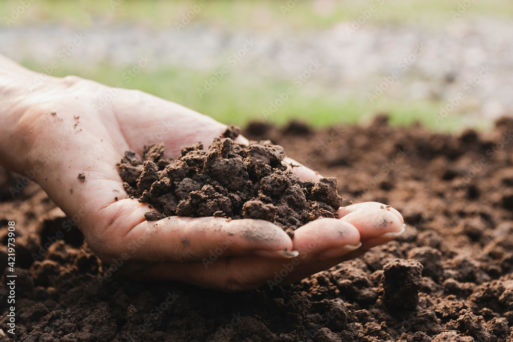 Hand holding fertile soil for plant to growing in nature agriculture concept. Hand holding fertile soil for plant to growing in nature agriculture concept.