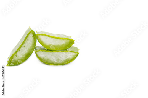 Green fresh Aloe vera sliced fresh aloe for herbal medical plant and beauty spa on white background copy space