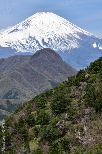 新緑の箱根・明神ヶ岳と富士山