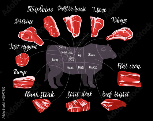 Steak cuts set. Beef cuts chart and pieces of beef, used for cooking steak and roast.