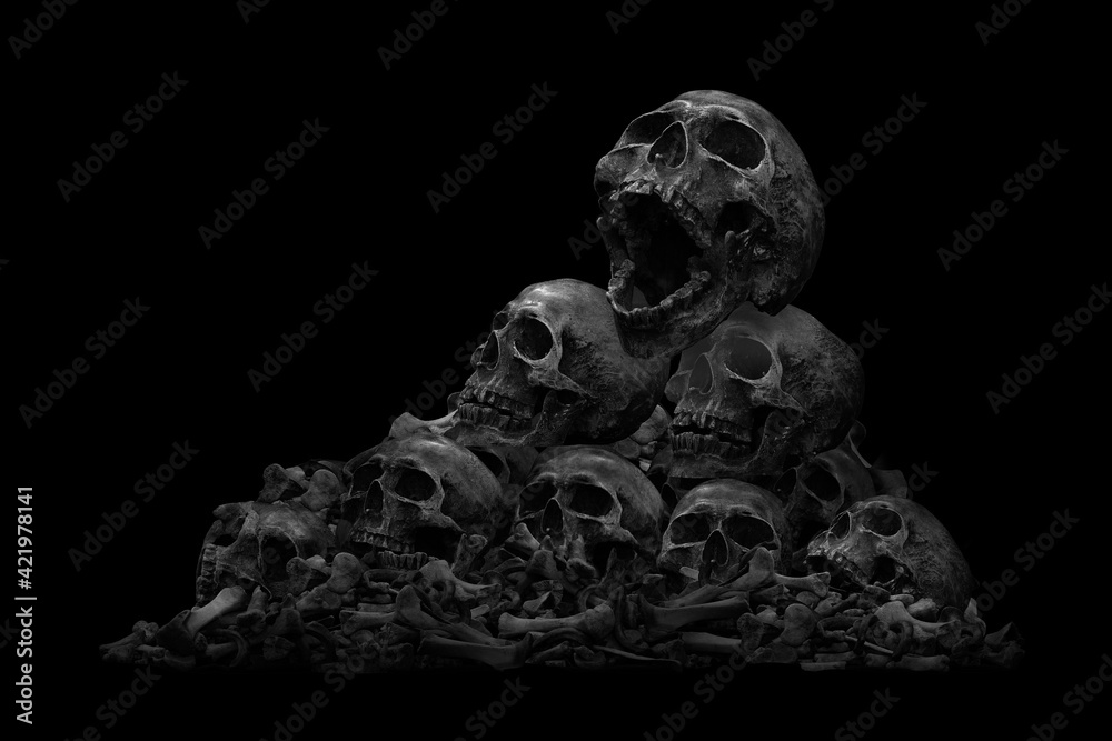 Pile of skulls and bone on dark background / Still life style Pile of skulls and bone on dark background / Still life style