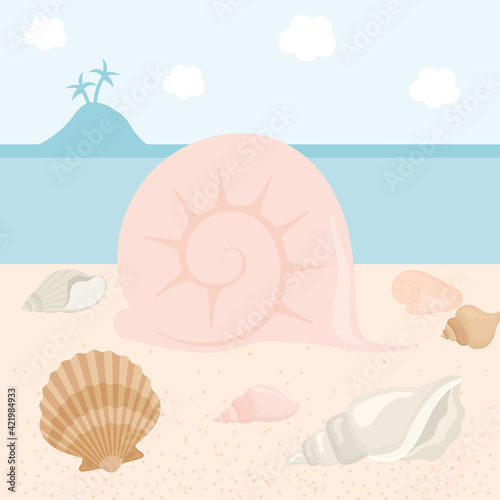 conch and seashells