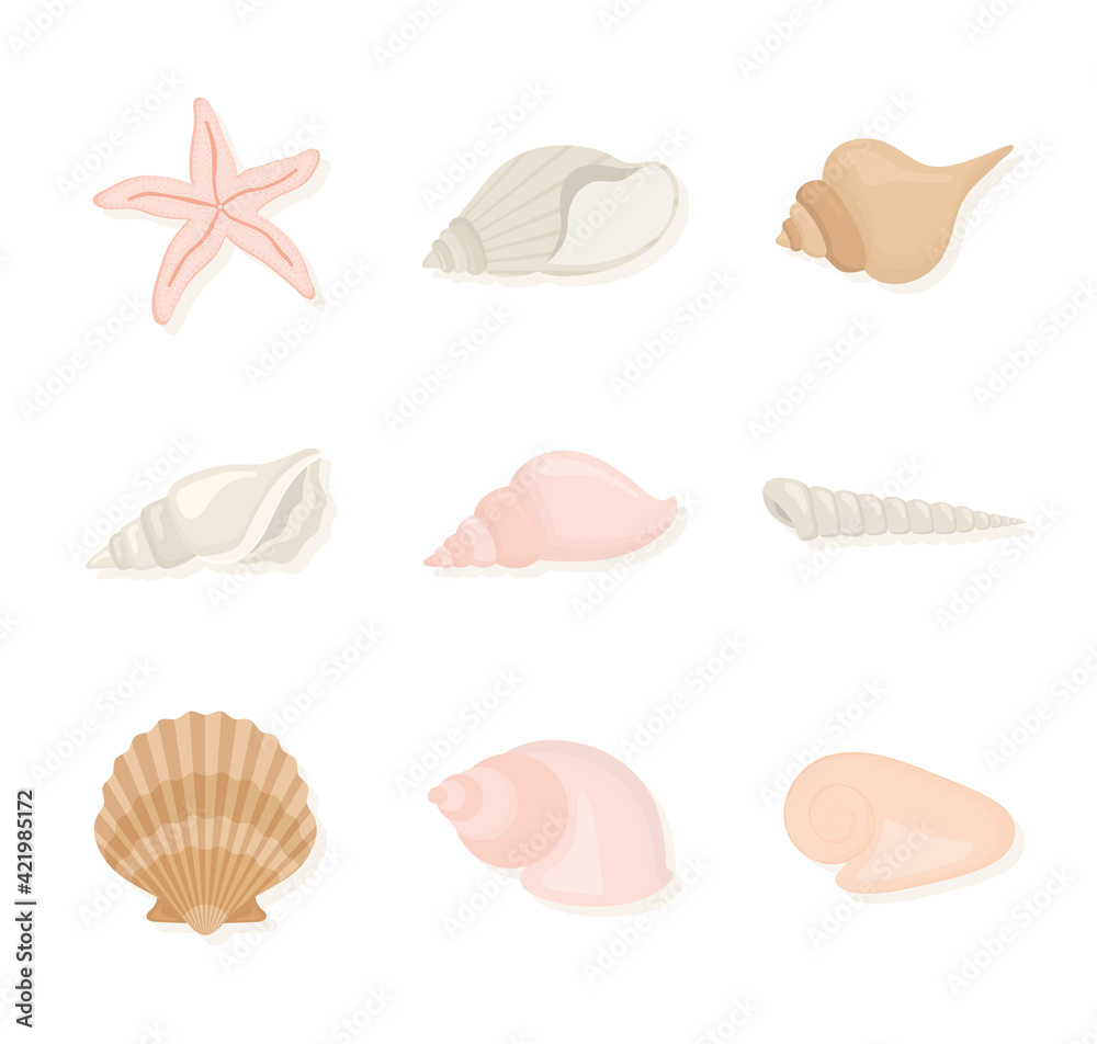 clams icons set clams icons set