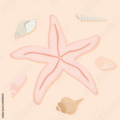 starfish and seashells