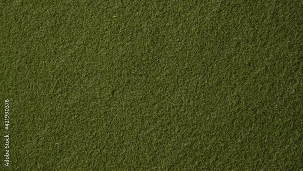 moringa powder top view. Spirulina, chlorella superfoods moringa powder top view. Spirulina, chlorella superfoods