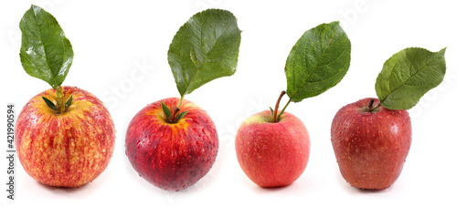 Fototapeta Naklejka Na Ścianę i Meble -  Apples with leaves set