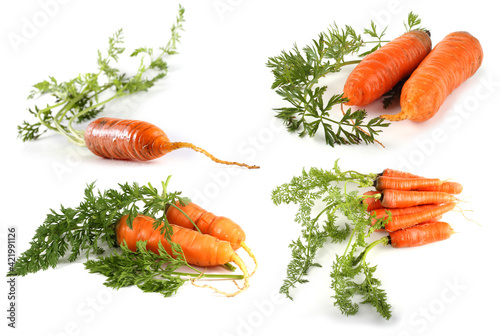 Carrots with leaves isolated on white