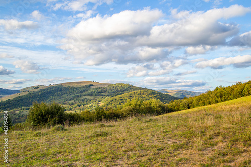 meadow with trees on a background of high mountains. Summer season.