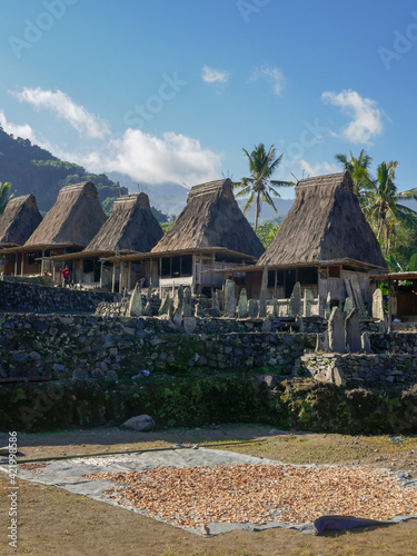 View of Gurusina traditional Ngada village with megaliths and drying candlenut in foreground, near Bajawa on Flores island, East Nusa Tenggara, Indonesia