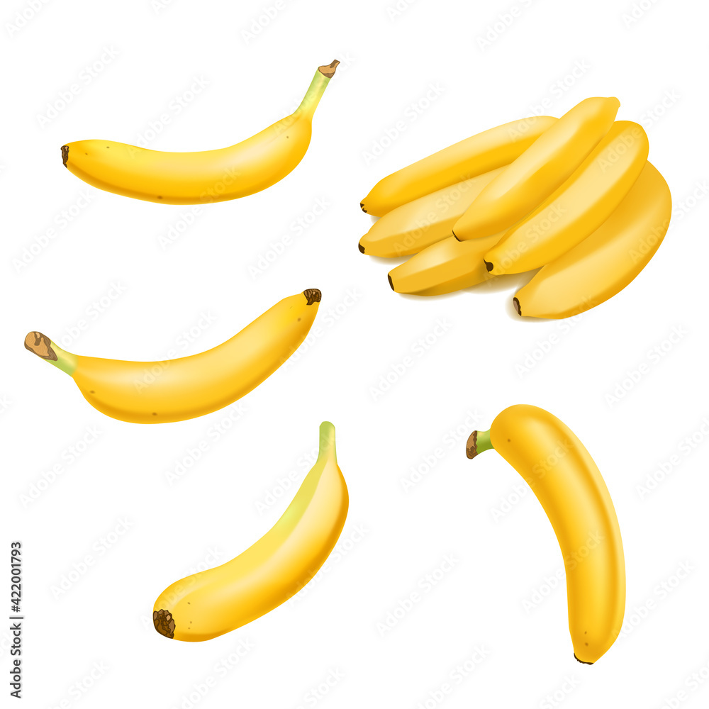 Set of Realistic banana and banana bunch isolated on white background. Tropical fruit. Realistic vector illustration
