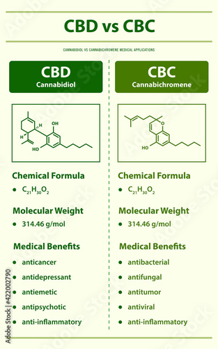CBD vs CBC, Cannabidiol vs Cannabichromene vertical infographic illustration about cannabis as herbal alternative medicine and chemical therapy, healthcare and medical vector.