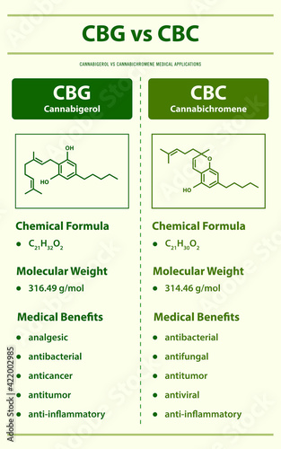 CBG vs CBC, Cannabigerol vs Cannabichromene vertical infographic illustration about cannabis as herbal alternative medicine and chemical therapy, healthcare and medical vector.