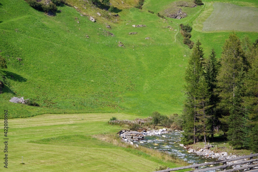 Obraz premium Bergwiesen