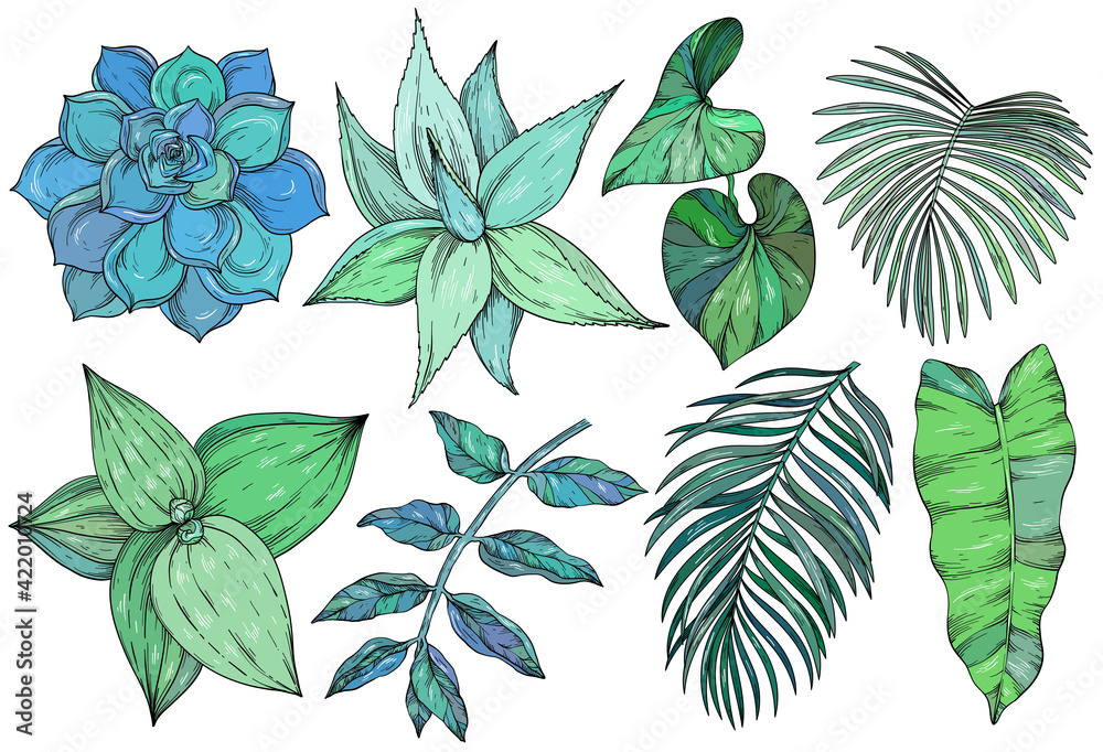Botanical illustration. Foliage, aloe, cactus, palm branch. Floral set.