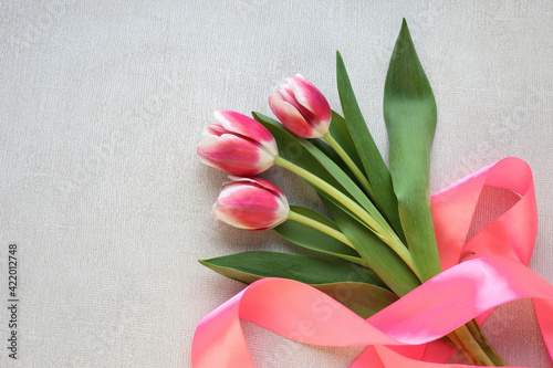 Fototapeta Naklejka Na Ścianę i Meble -  Pink tulips with ribbon on gray background, copy space