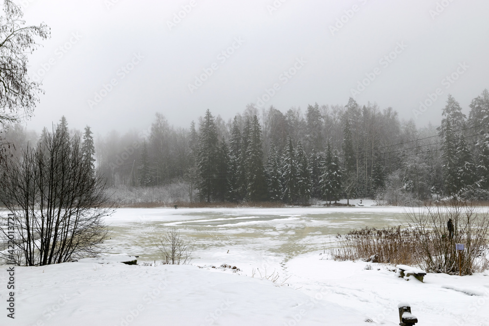 landscape with lake view, lake surface wet, footprints on ice surface, fog in the background, fuzzy forest contours landscape with lake view, lake surface wet, footprints on ice surface, fog in the background, fuzzy forest contours