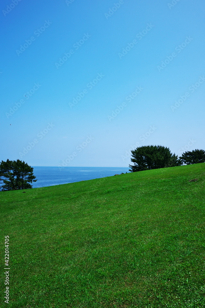 種差海岸から見る青空と緑の大地 種差海岸から見る青空と緑の大地