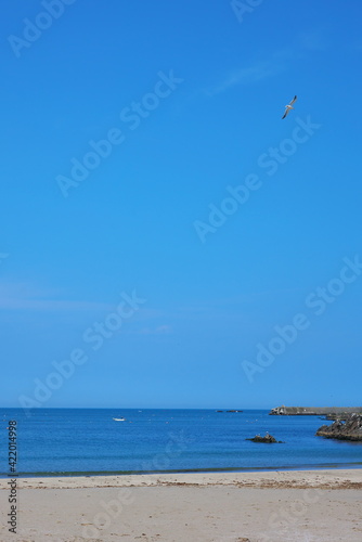 青い海と白い砂浜の種差海岸