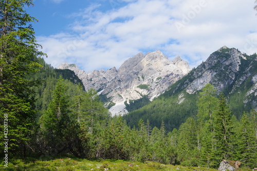 Grünwaldtal