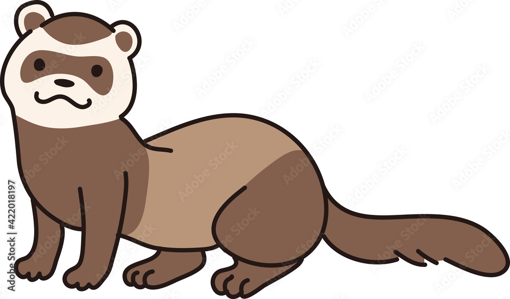 フェレットのイラスト Stock Vector Adobe Stock