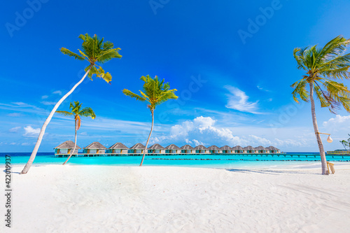 Perfect tropical island paradise beach. Palm trees ocean lagoon, sea horizon under blue sky, water villas, bungalows. Luxury summer travel vacation, exotic holiday. Leisure lifestyle, amazing shore