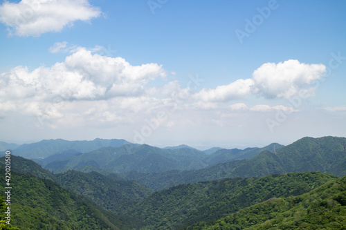 夏山
