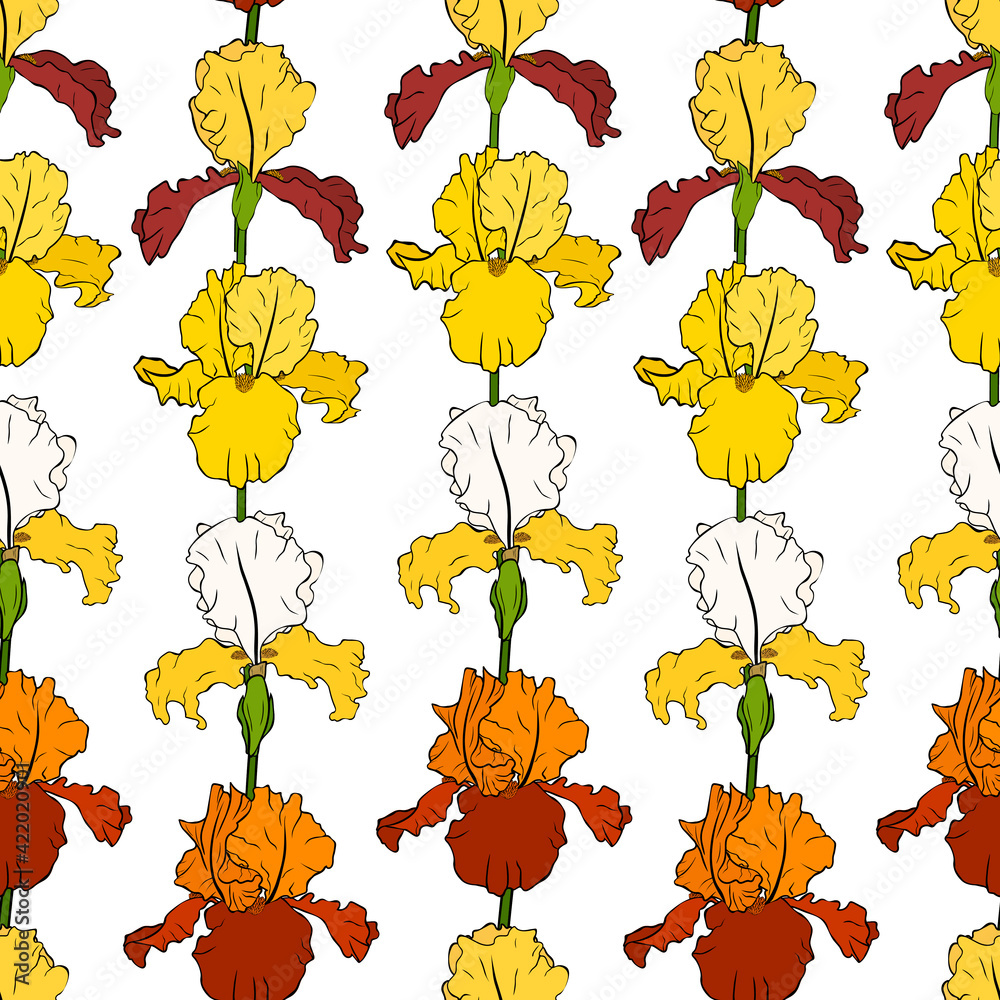 Seamless pattern Irises flowers botanical colourful vector illustration	