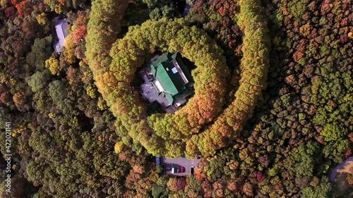 Aerial photo of Nanjing Necklace Wutong forest, autumn woods photo