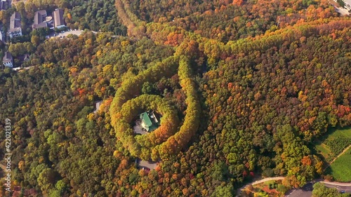 Aerial photo of Nanjing Necklace Wutong forest, autumn woods